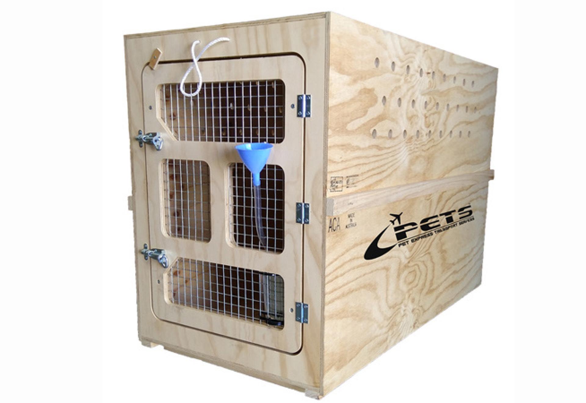 PLANNING IS ESSENTIAL FOR SAFE ANIMAL TRANSPORT