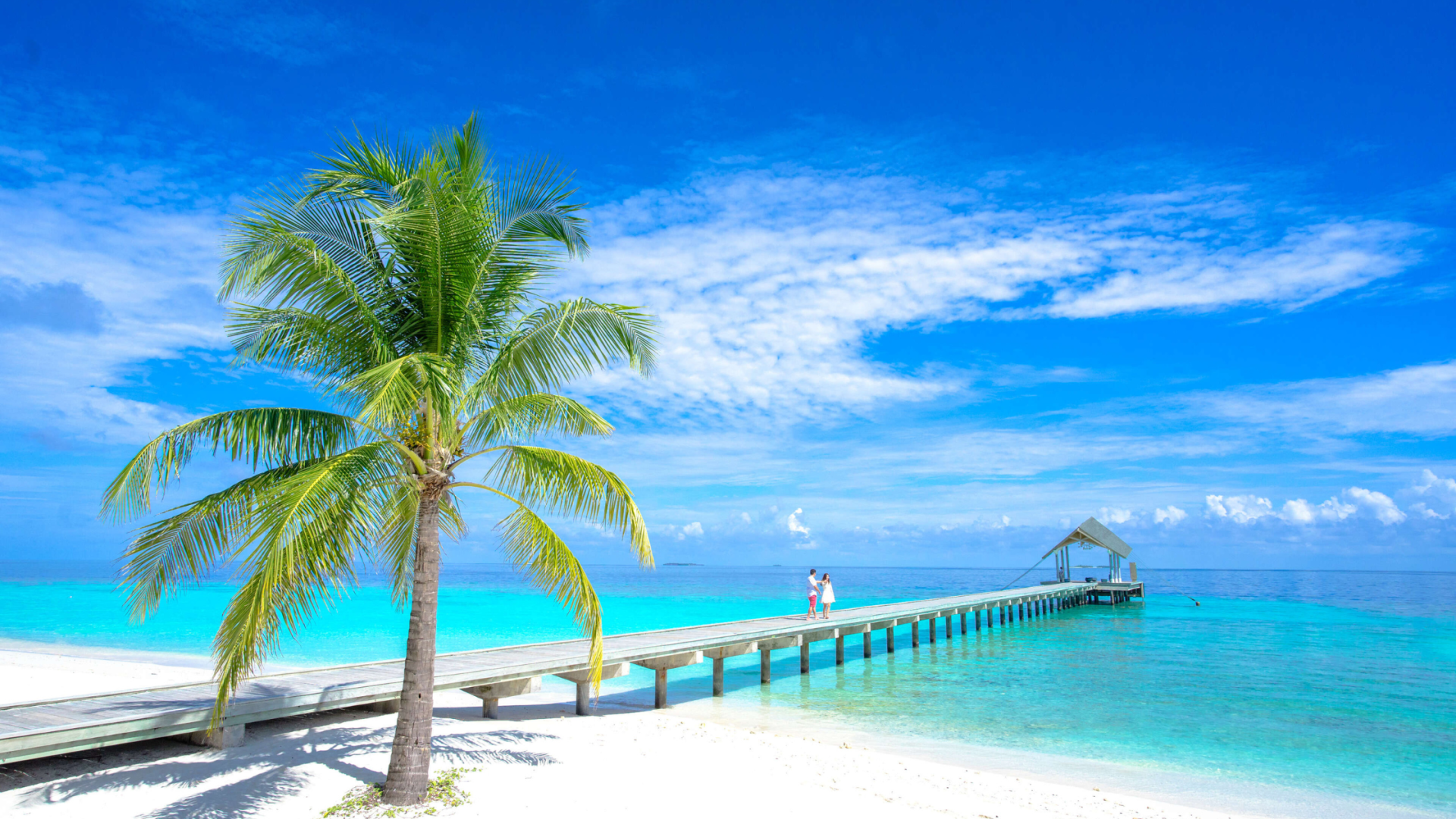 Discover the Bahamas on Your Schedule